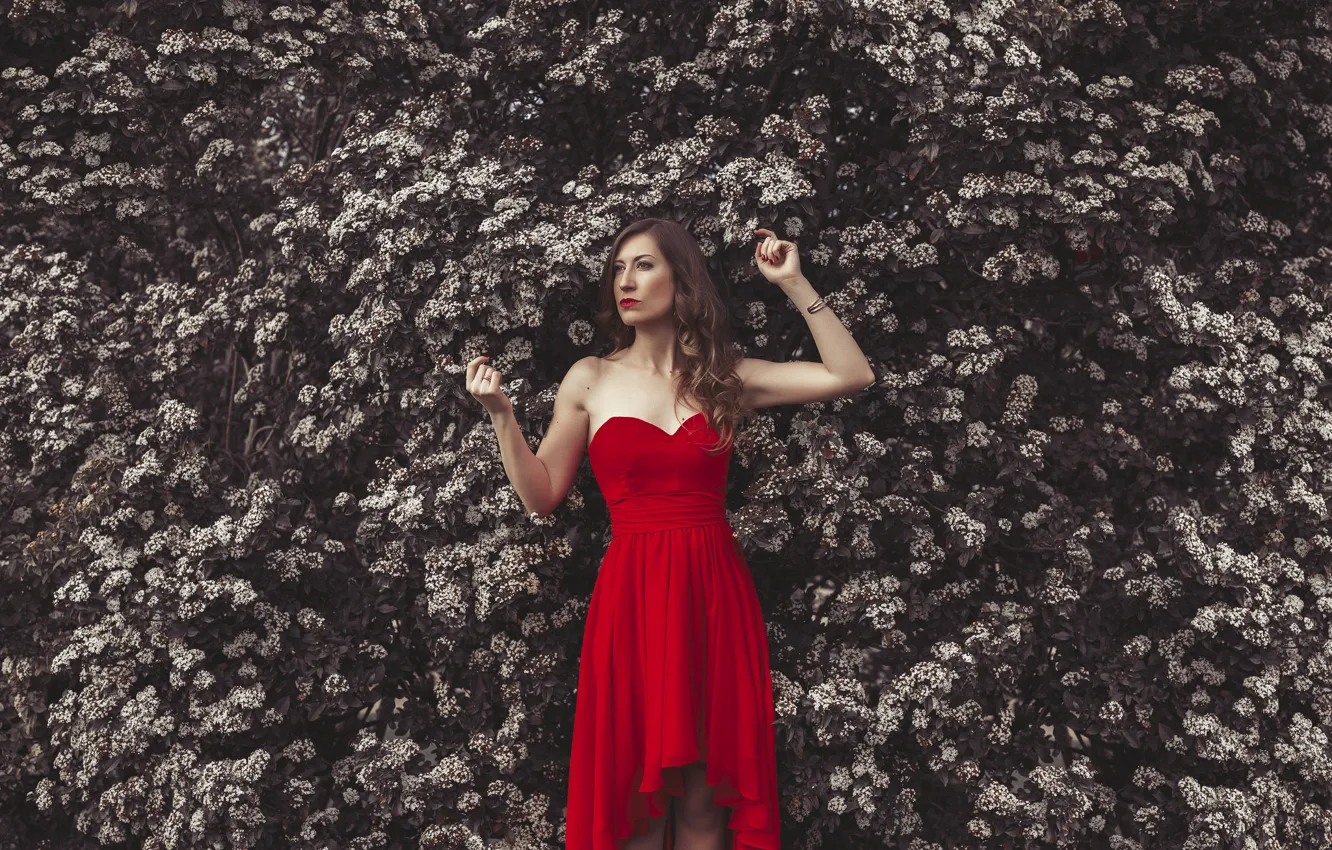 Photo wallpaper girl, face, background, hair, makeup, dress, lipstick, red style