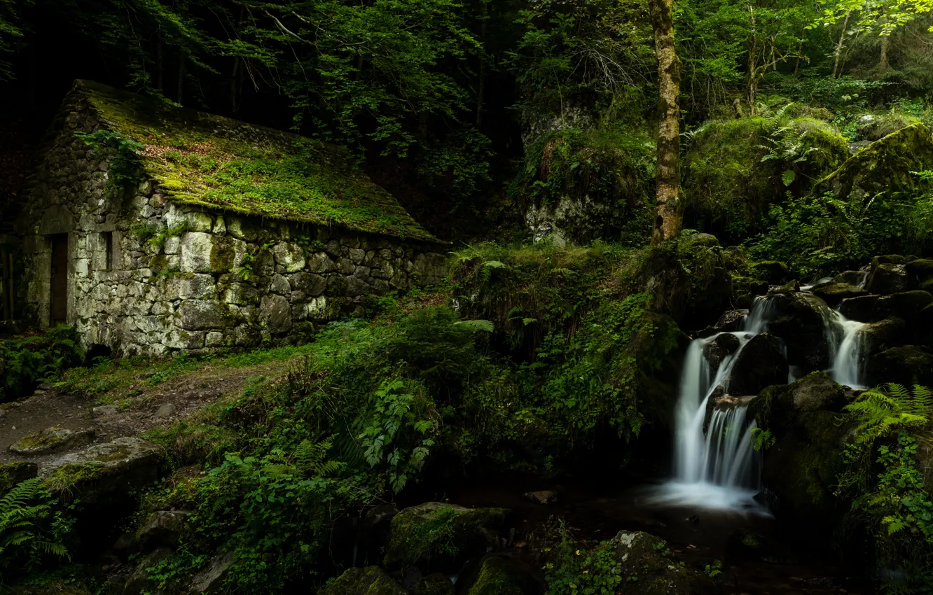 Photo wallpaper forest, house, stream, France, waterfall, France, Auvergne, Auvergne
