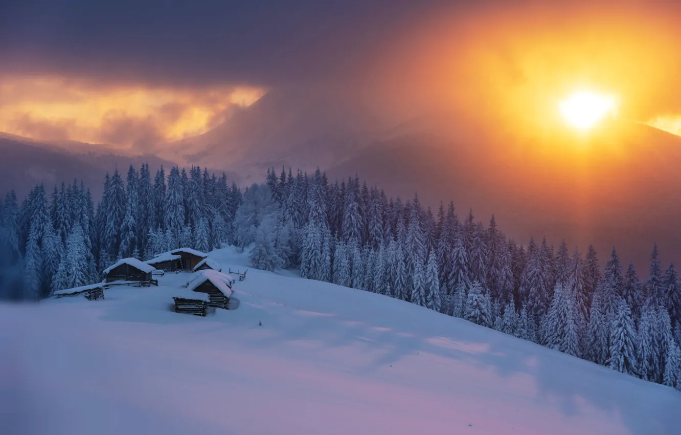 Photo wallpaper winter, forest, the sun, snow, sunset, mountains, houses, Carpathians