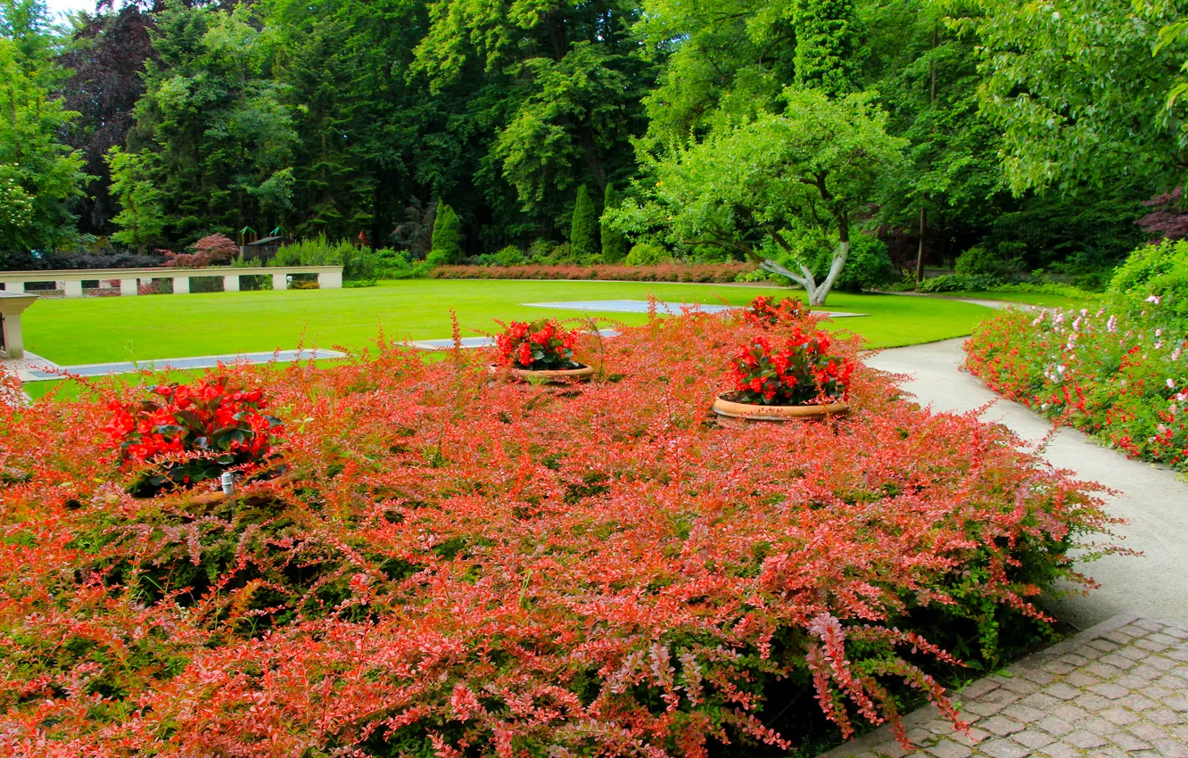 Photo wallpaper park, garden, alley