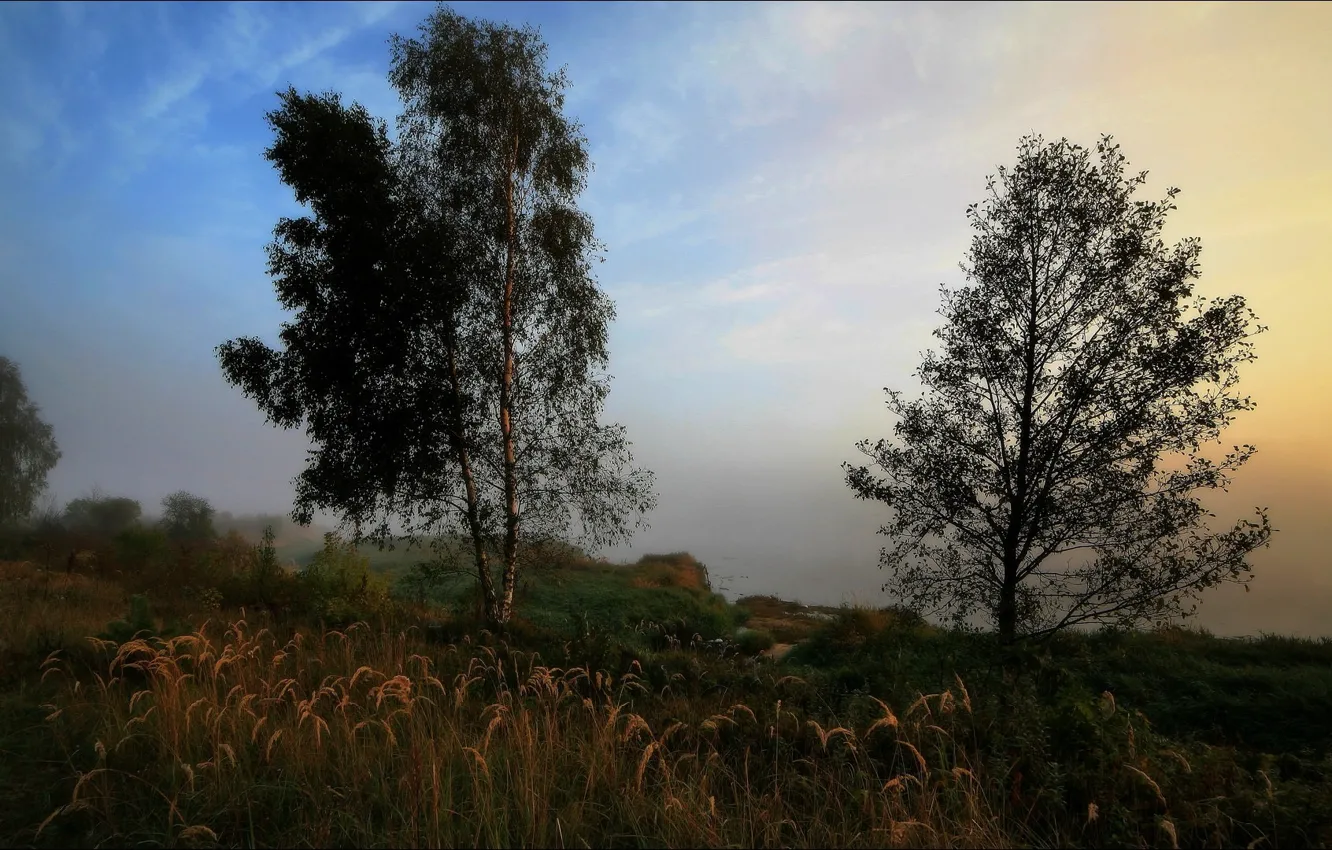 Photo wallpaper landscape, nature, morning