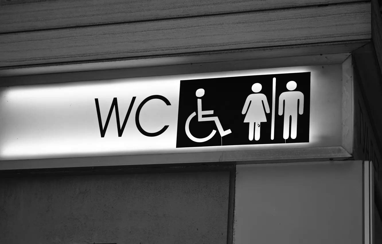 Photo wallpaper toilet