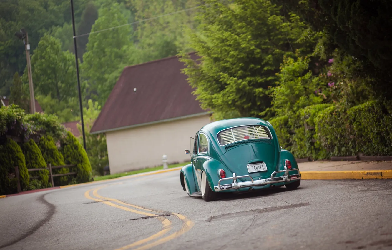 Photo wallpaper beetle, Volkswagen, Volkswagen, Beetle, beatle, bug