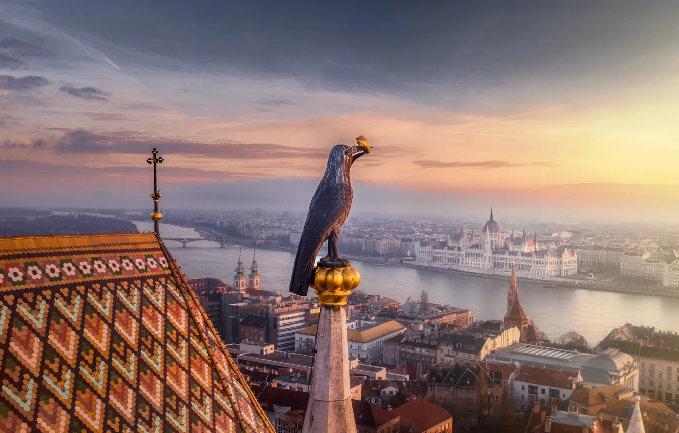 Photo wallpaper the city, river, bird, home, morning, figure, Hungary, Budapest