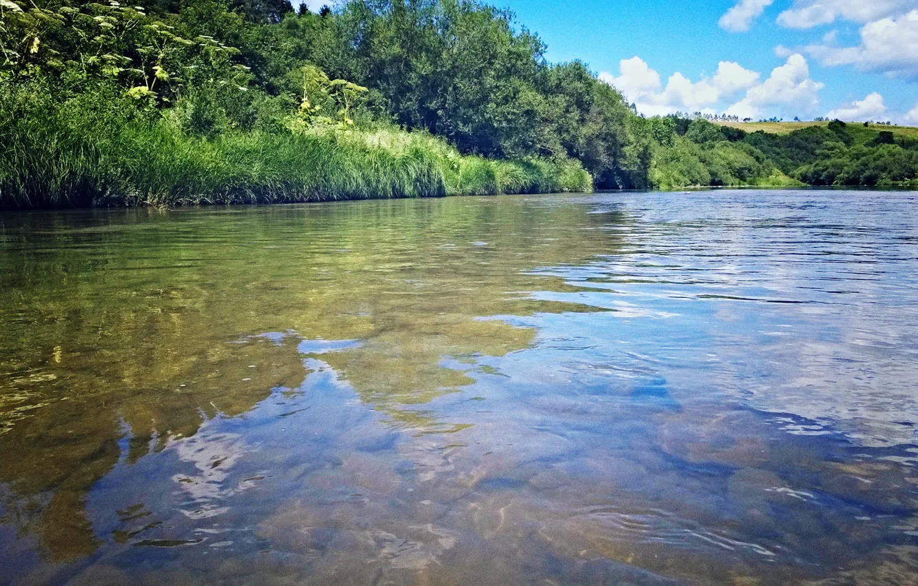 Photo wallpaper river, Carpathians, Stry