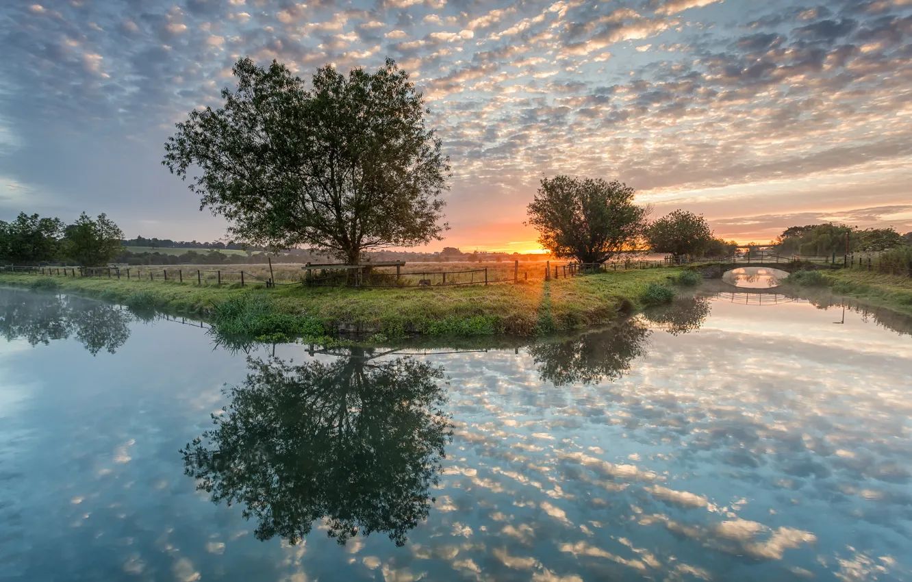 Photo wallpaper trees, bridge, reflection, river, dawn, fence