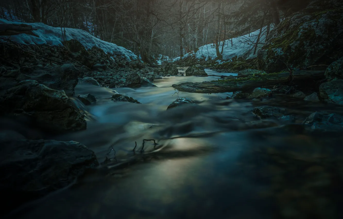 Photo wallpaper winter, forest, snow, trees, branches, stream, stones, shore