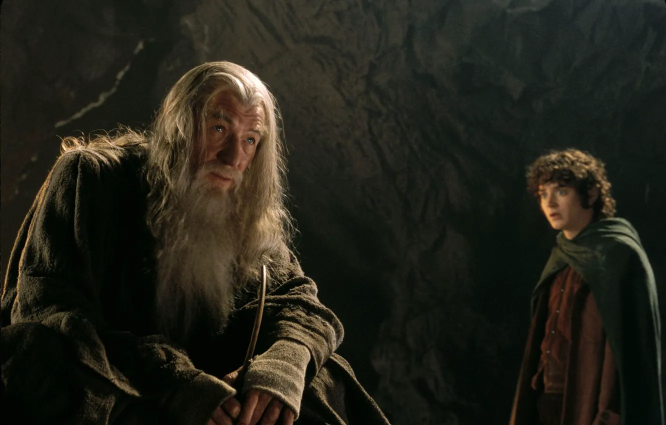 Photo wallpaper the Lord of the rings, heroes, the lord of the rings, still from the film