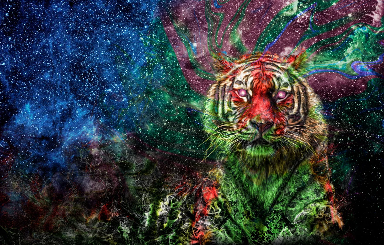 Photo wallpaper space, tiger, colored, colorful