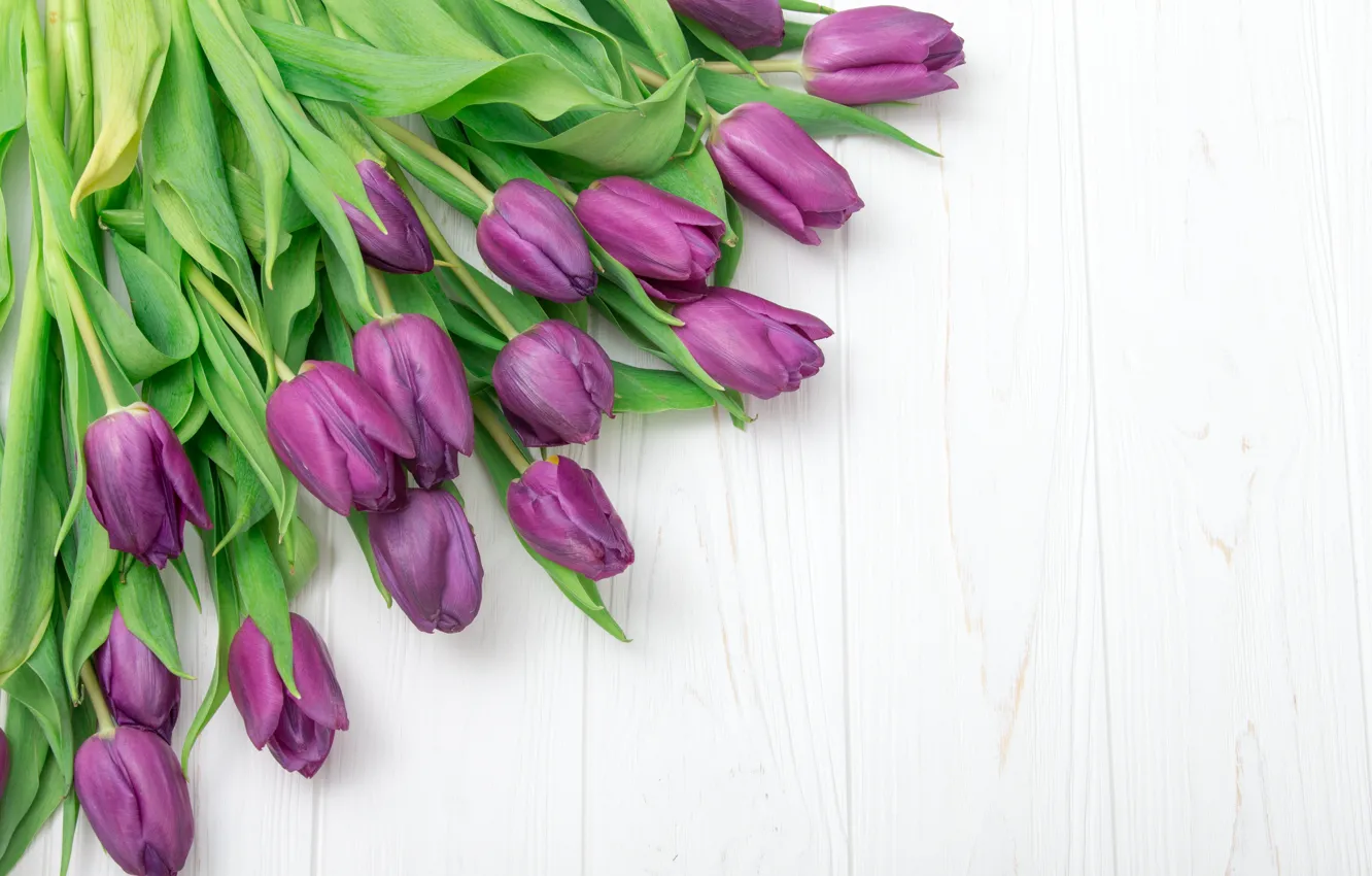 Photo wallpaper flowers, bouquet, tulips