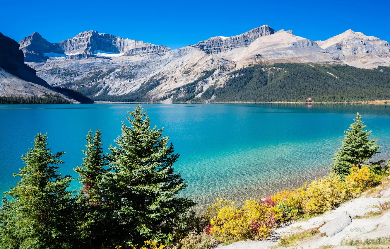 Photo wallpaper snow, trees, mountains, nature, lake