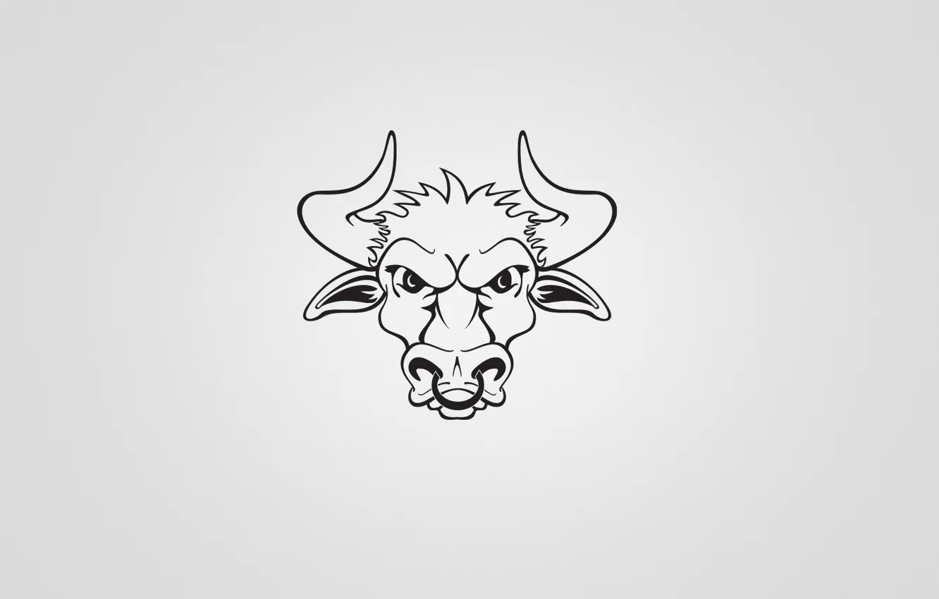 Photo wallpaper minimalism, horns, bull, bull