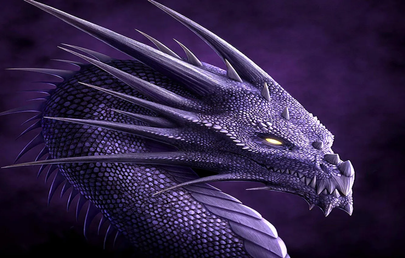 Photo wallpaper fantasy, dragon, muzzle