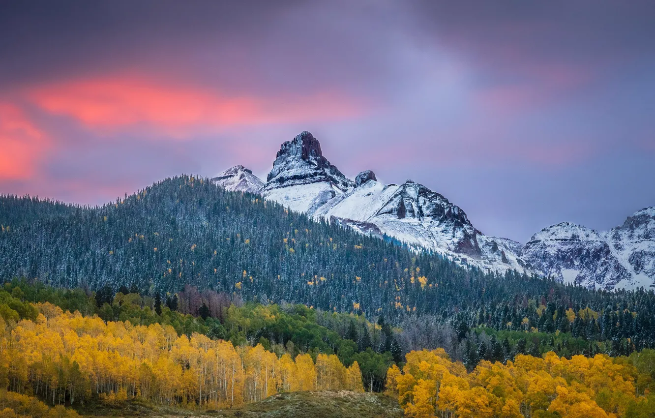 Photo wallpaper autumn, forest, the sky, clouds, snow, mountains, the slopes, mountain