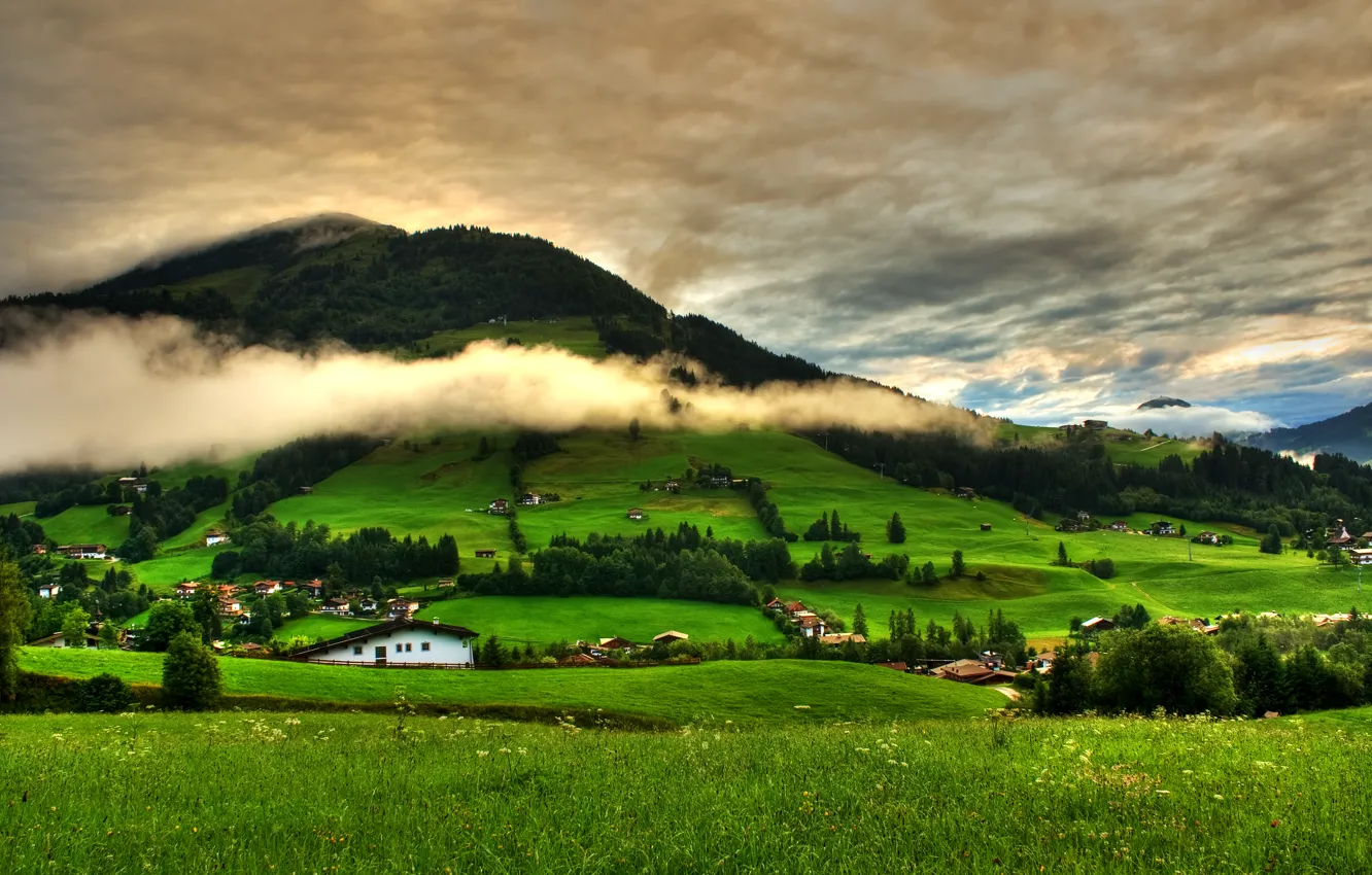 Photo wallpaper the sky, grass, clouds, trees, landscape, mountains, nature, green