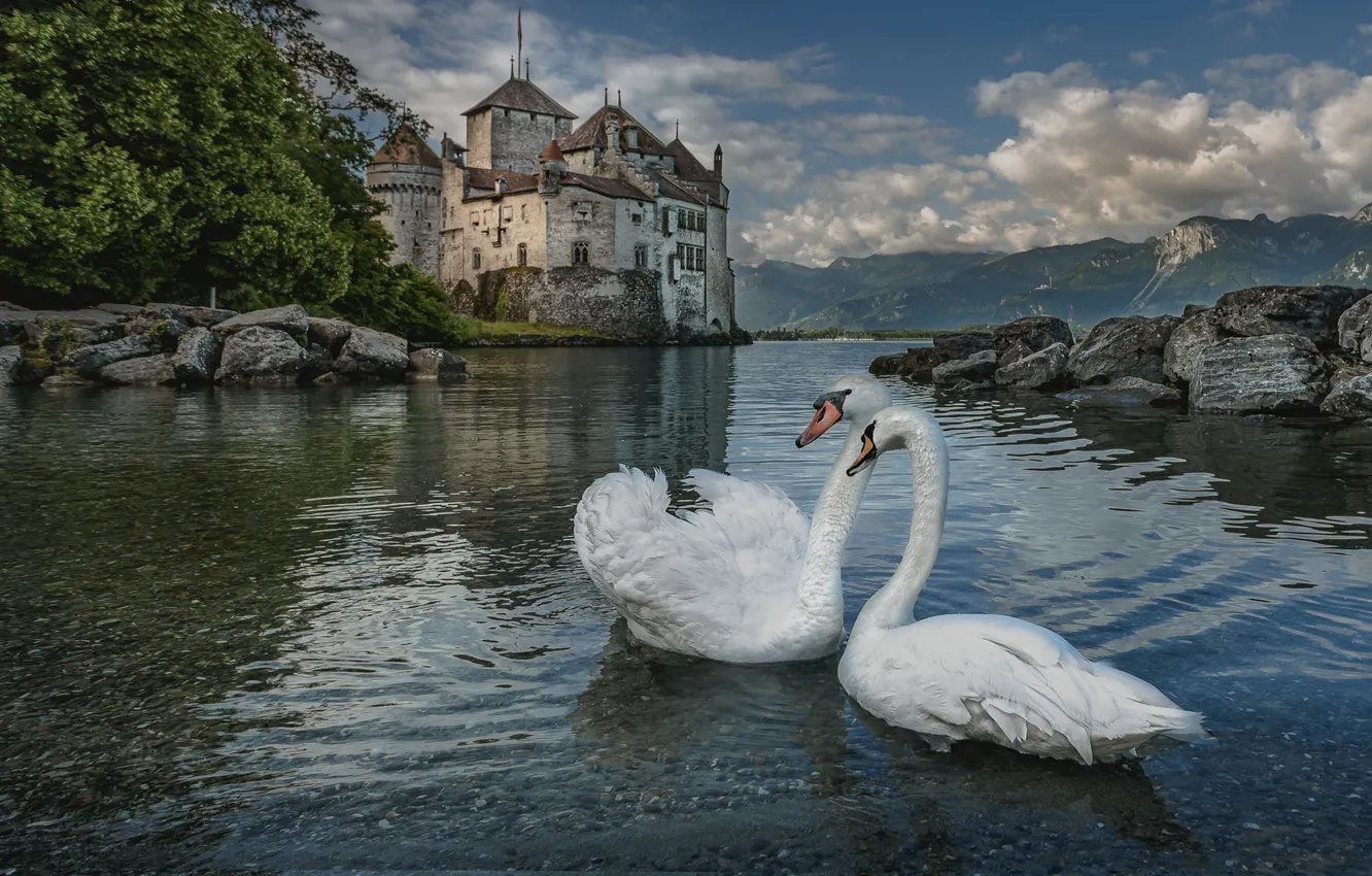 Photo wallpaper landscape, nature, lake, stones, castle, bird, Switzerland, swans