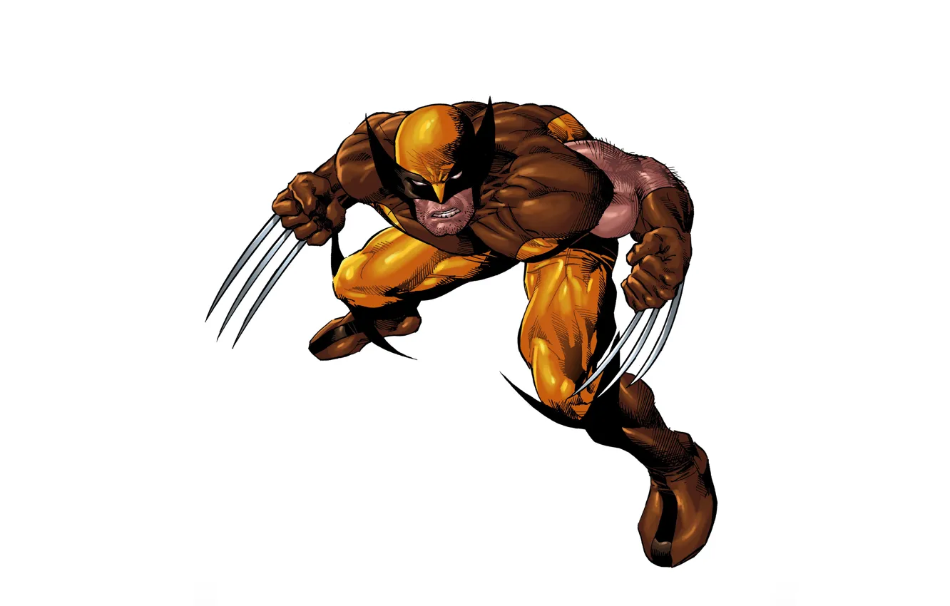 Photo wallpaper Wolverine, Wolverine, superhero