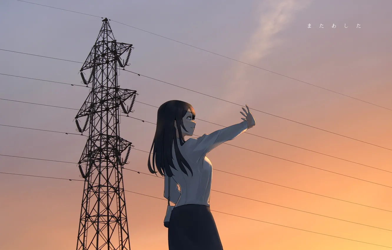 Photo wallpaper girl, sunset, wire, the evening