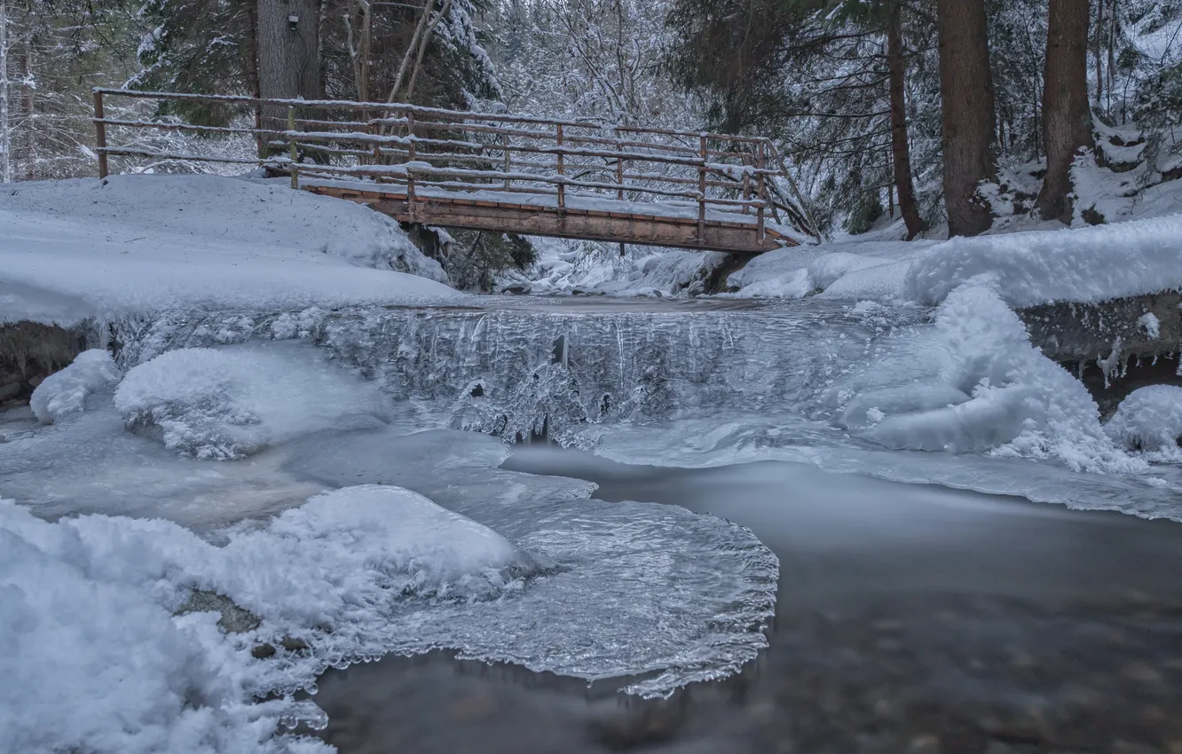 Photo wallpaper ice, winter, bridge, river, mediocrity, frost