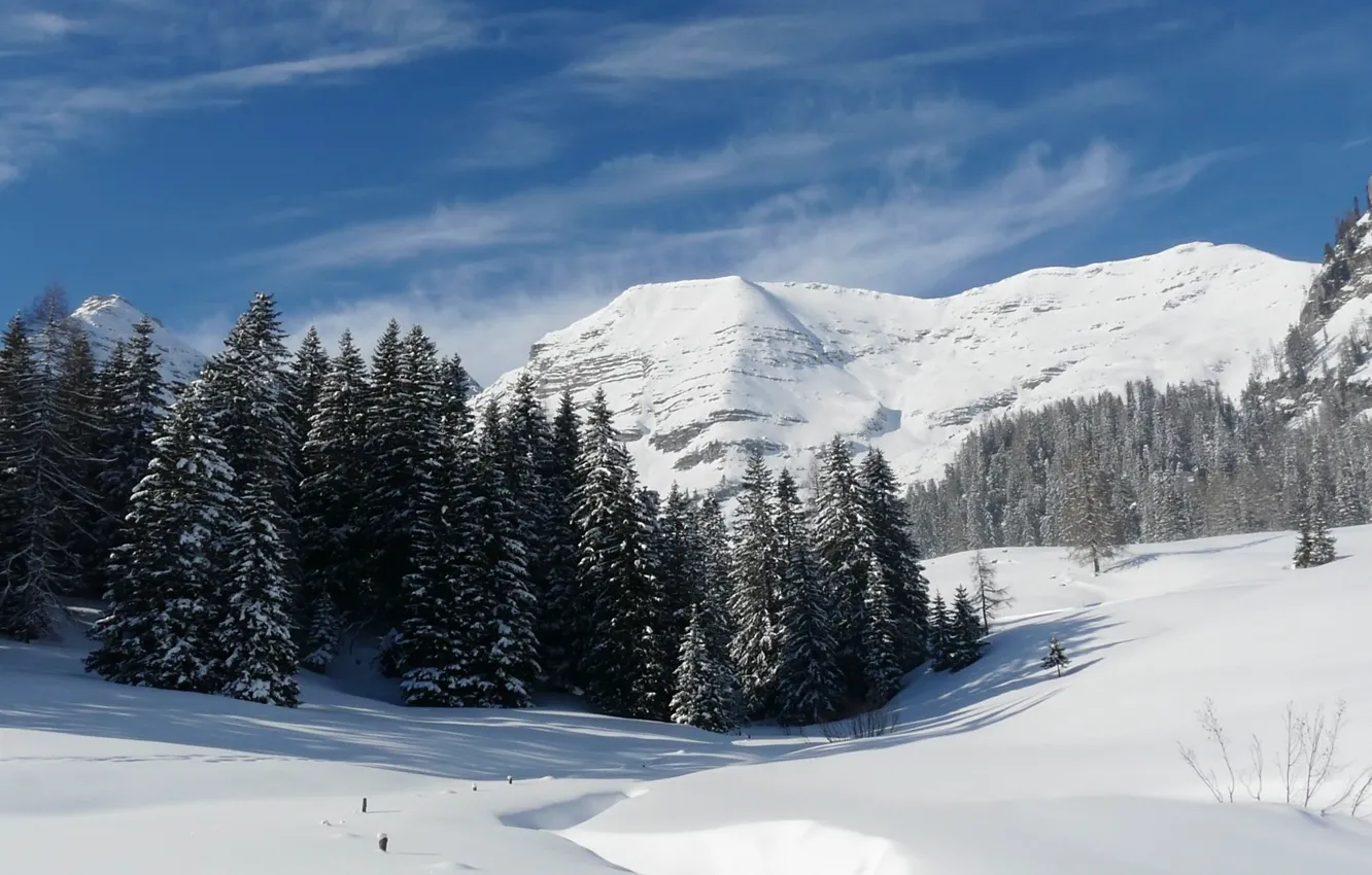 Photo wallpaper winter, forest, snow, mountains