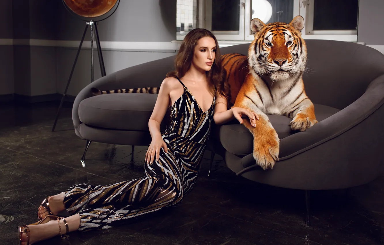 Photo wallpaper girl, tiger, pose, style, sofa, model, wild cat, Anton Demin