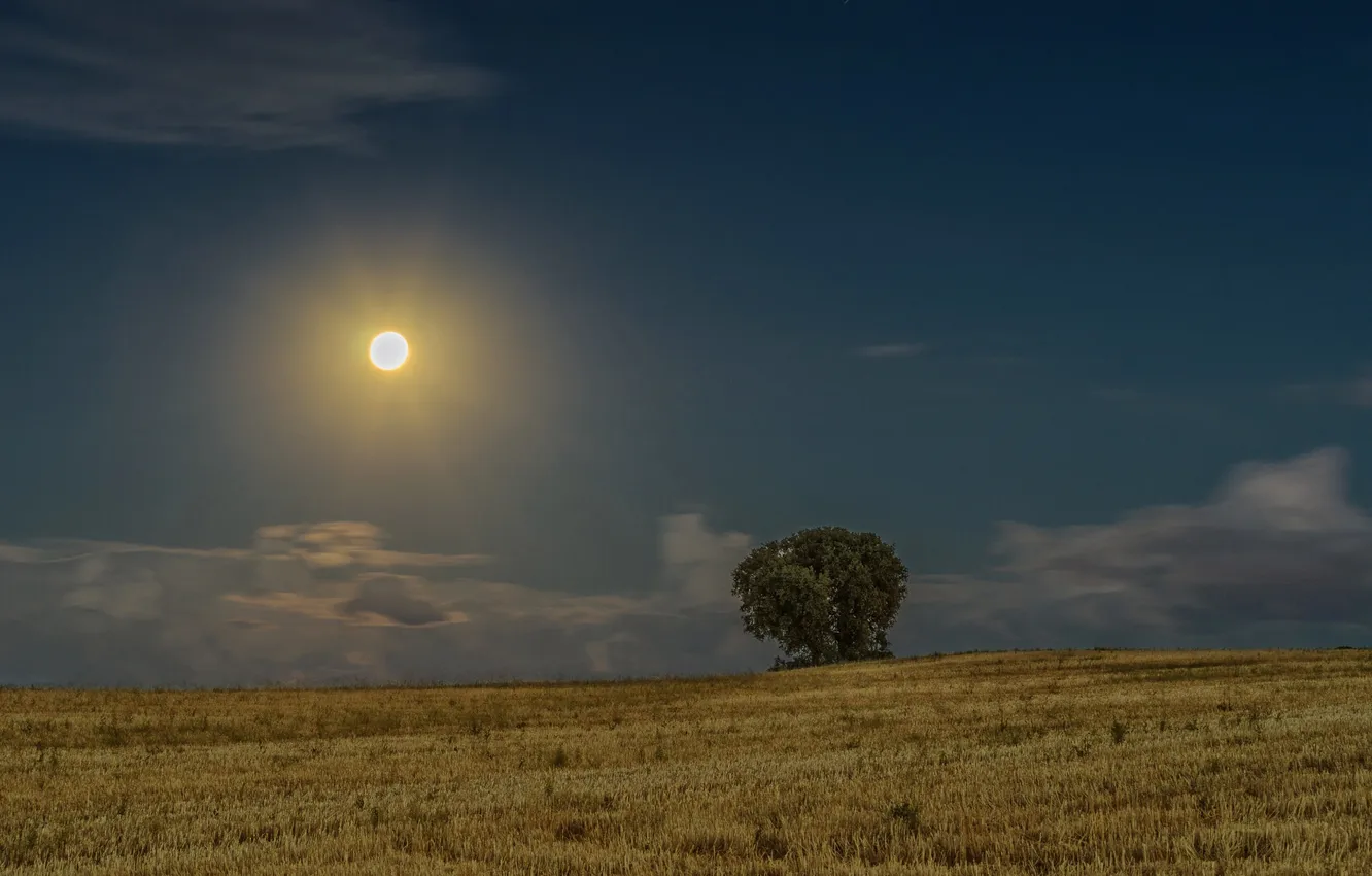 Photo wallpaper field, the sky, clouds, trees, night, moonlight, the countryside, farm