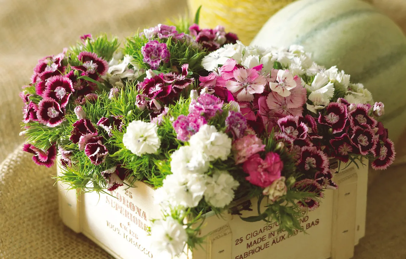 Photo wallpaper flowers, box, bouquet, colorful, carnation