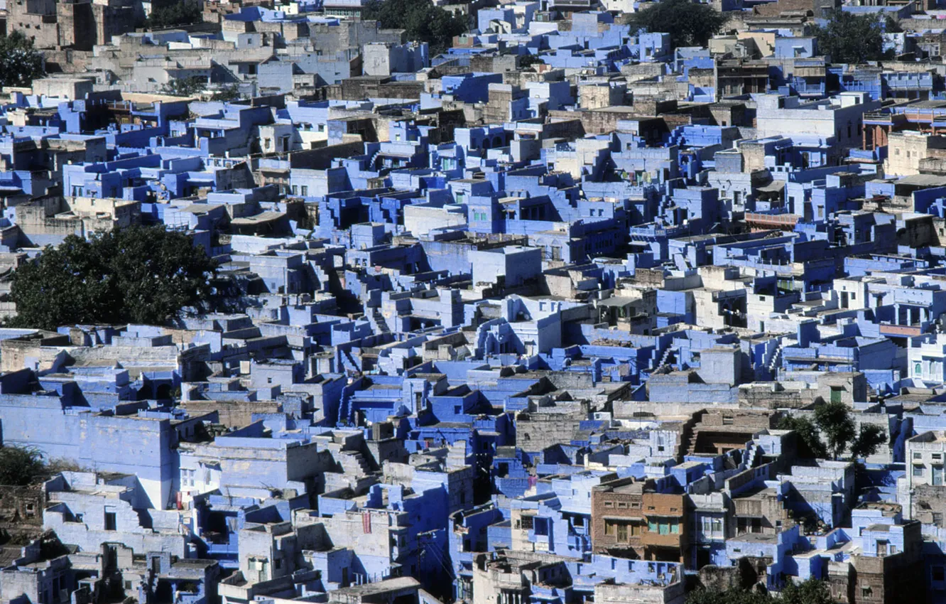 Photo wallpaper the city, home, India, India, Rajasthan, Jodhpur, Blue city, The Blue City