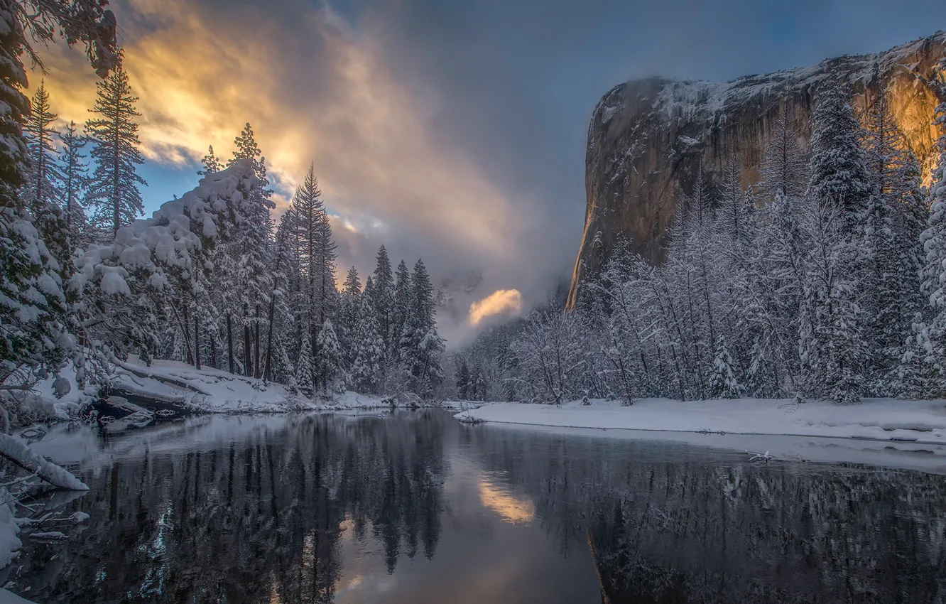 Photo wallpaper winter, forest, snow, trees, reflection, river, mountain, CA