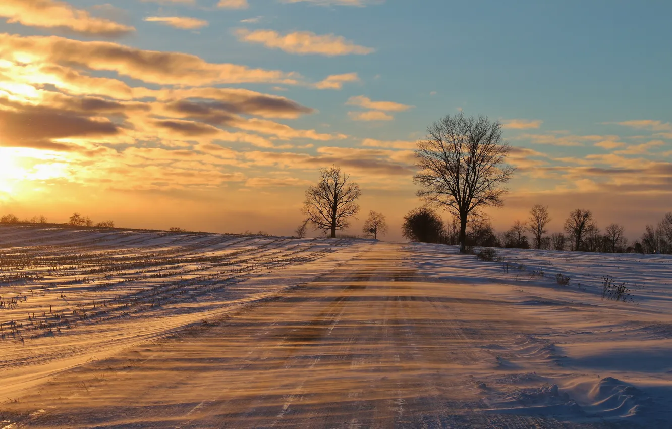 Photo wallpaper cold, winter, road, snow, trees, frost, drifting snow