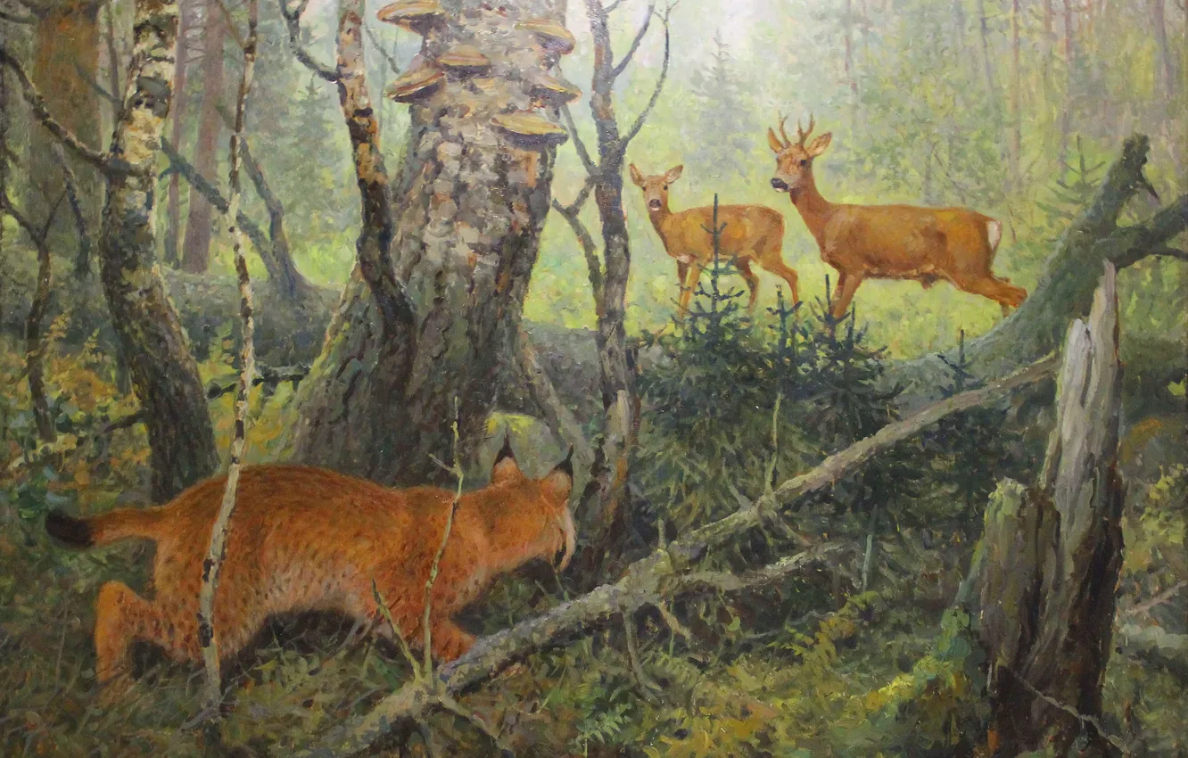 Photo wallpaper Trees, Forest, Picture, Lynx, Big cat, Hunting, Alexey Komarov, Alexey Komarov