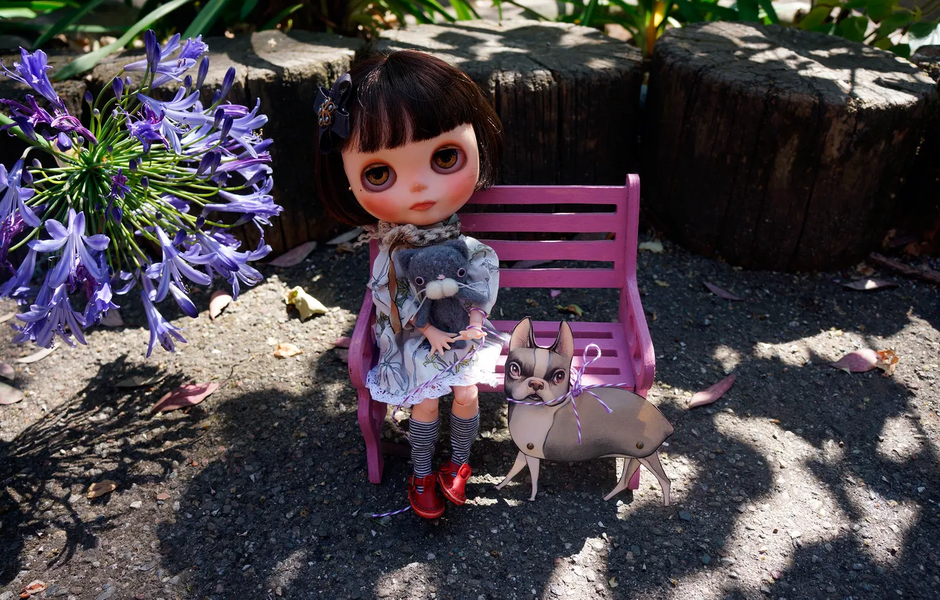 Photo wallpaper cat, toys, doll, bench