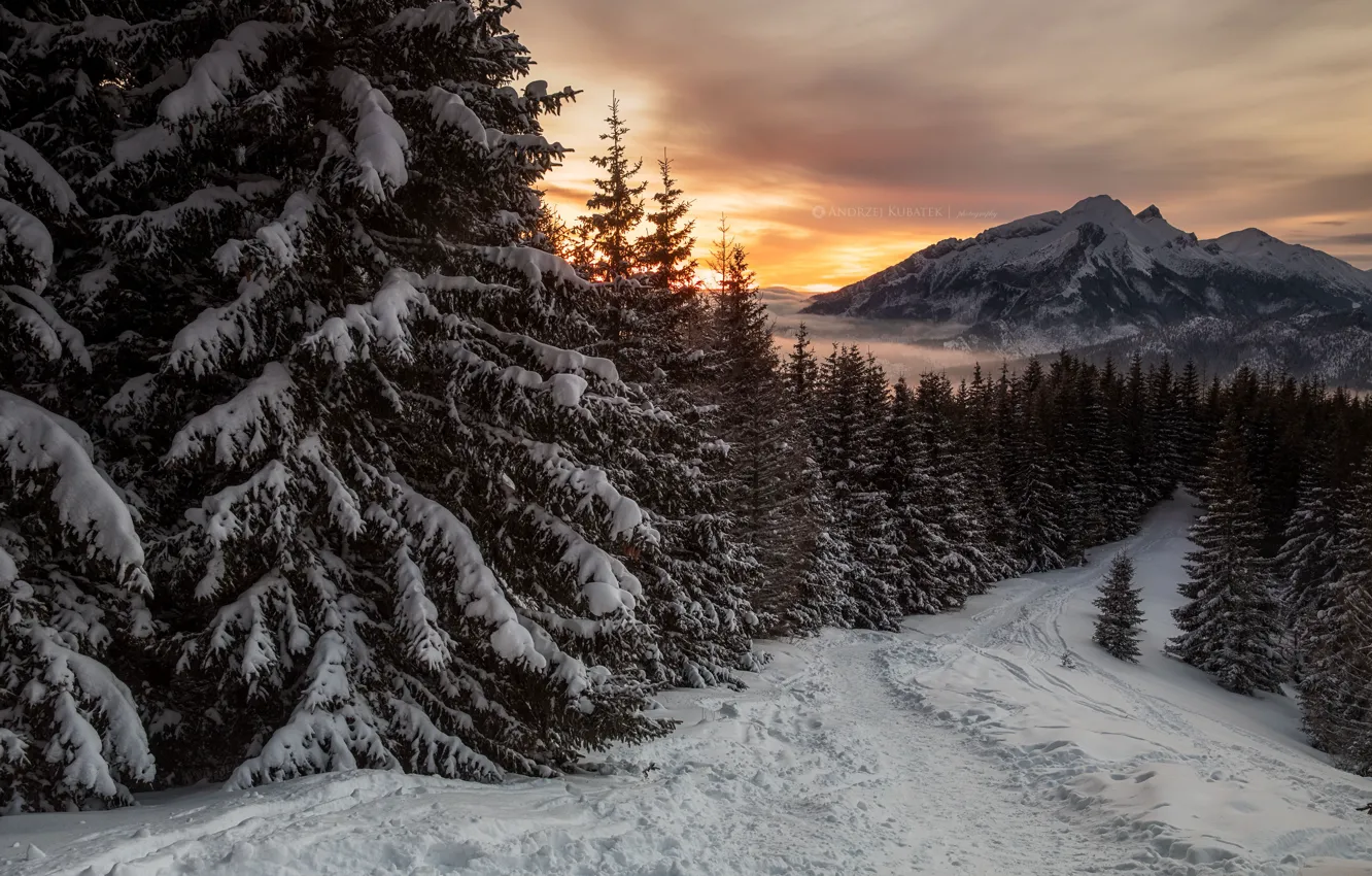 Photo wallpaper winter, road, snow, trees, landscape, sunset, mountains, nature