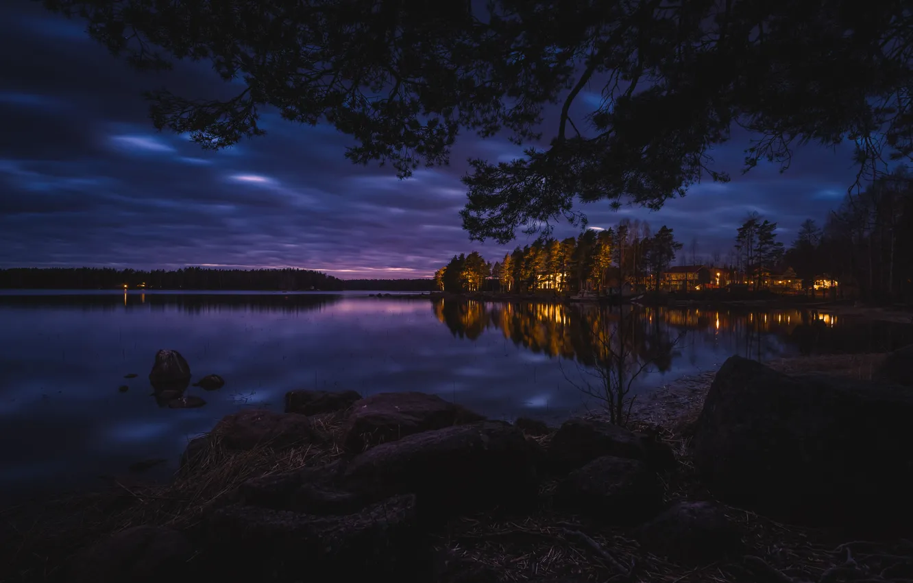 Photo wallpaper forest, night, lights, lake, boat, home
