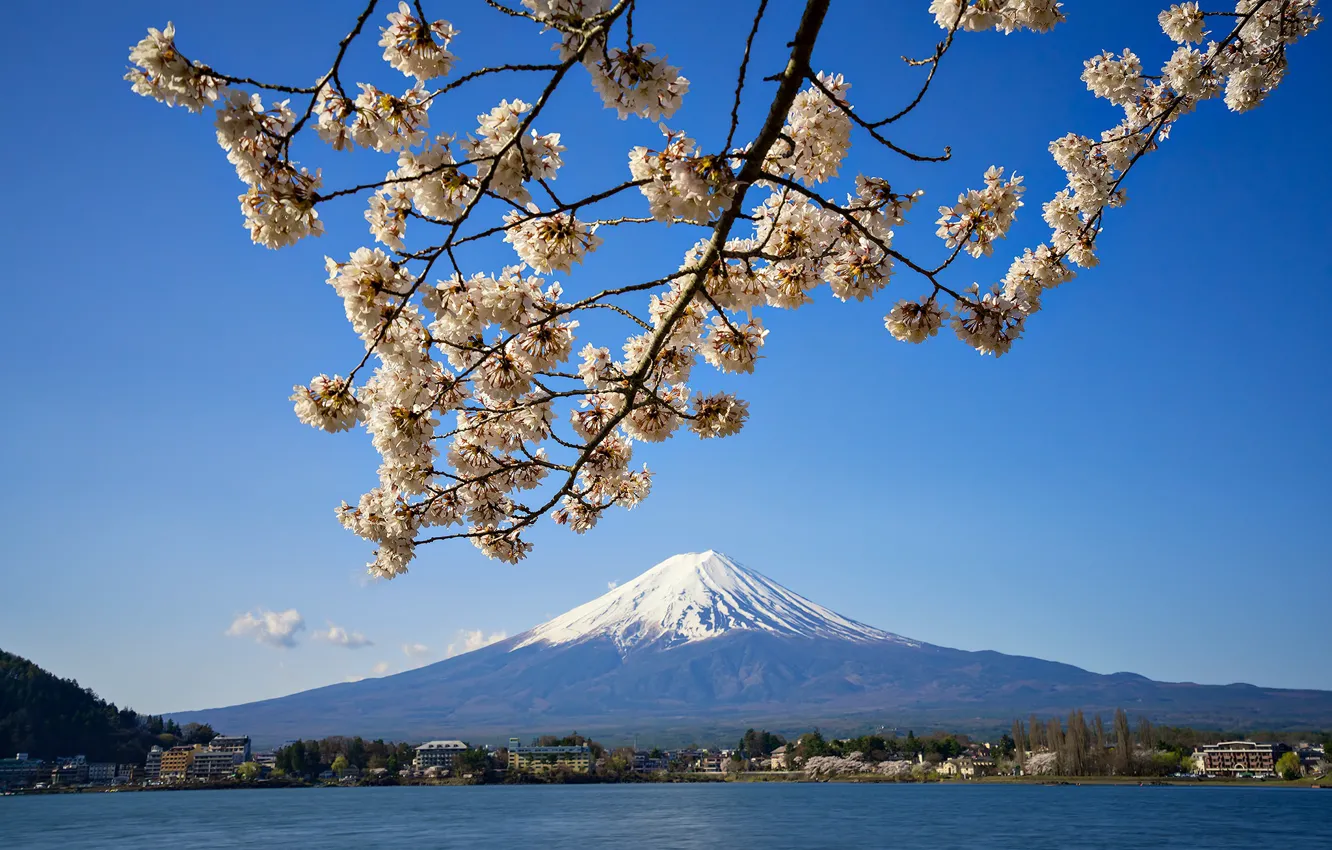 Photo wallpaper spring, Japan, Sakura, mount Fuji, lake Kawaguchi