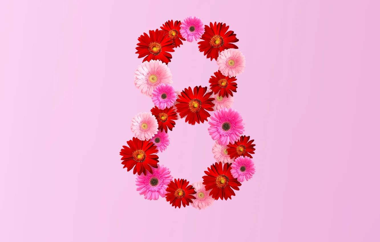 Photo wallpaper flowers, figure, pink, March 8, pink, flowers, women's day