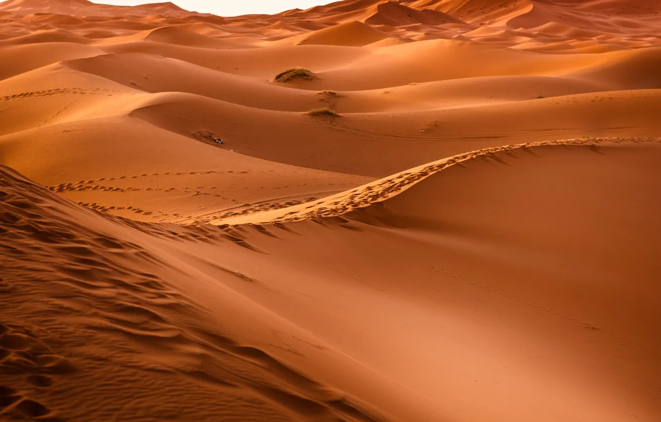 Photo wallpaper Hot, Sahara, Sand, Desert, Dunes