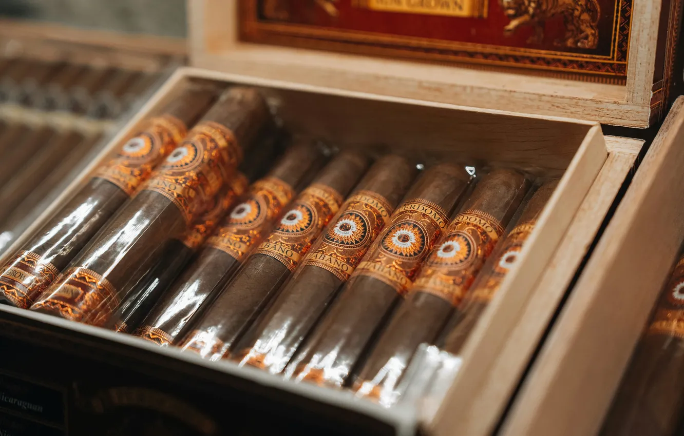 Photo wallpaper cigar, a box of cigars, Perdomo Habano