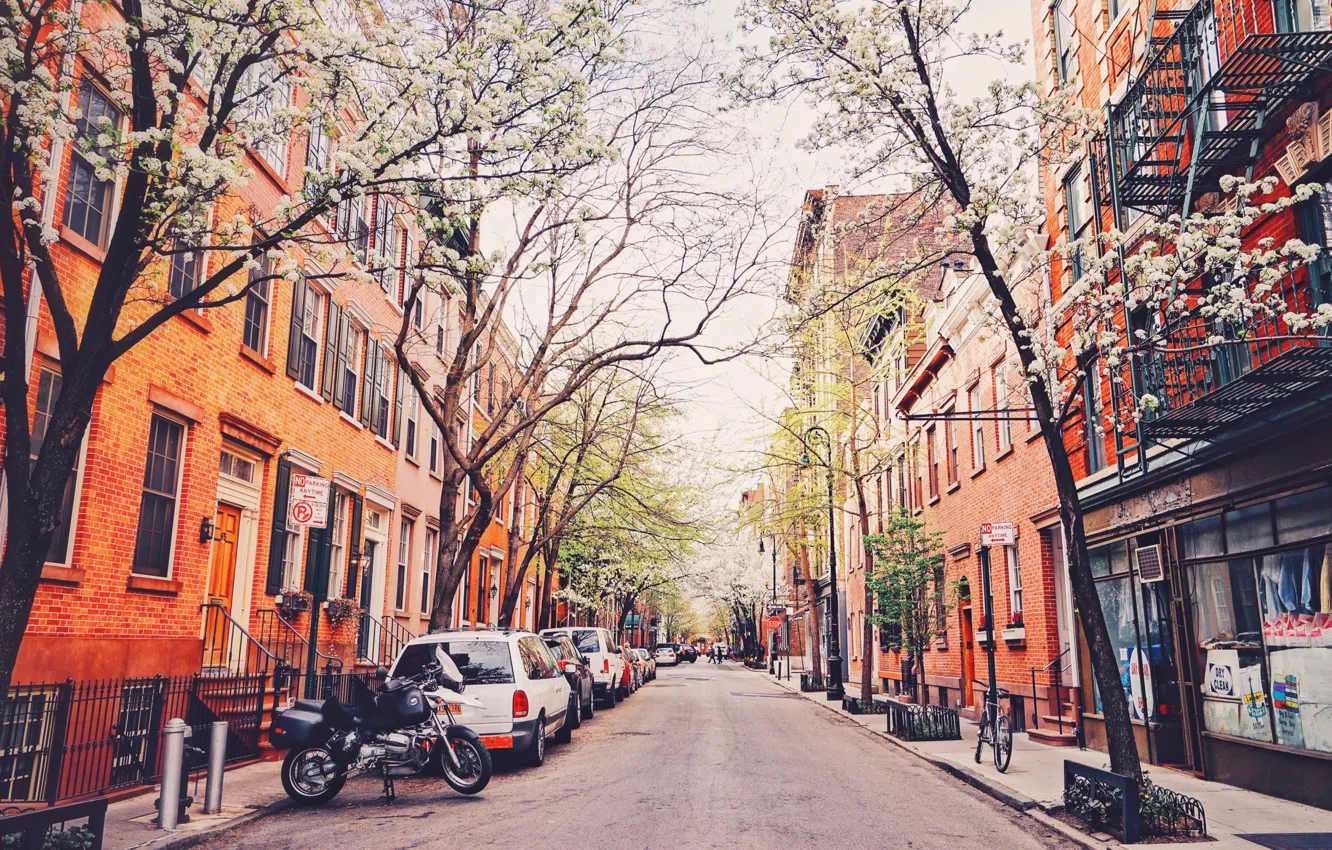 Photo wallpaper trees, bike, street, New York, motorcycle, cars, United States