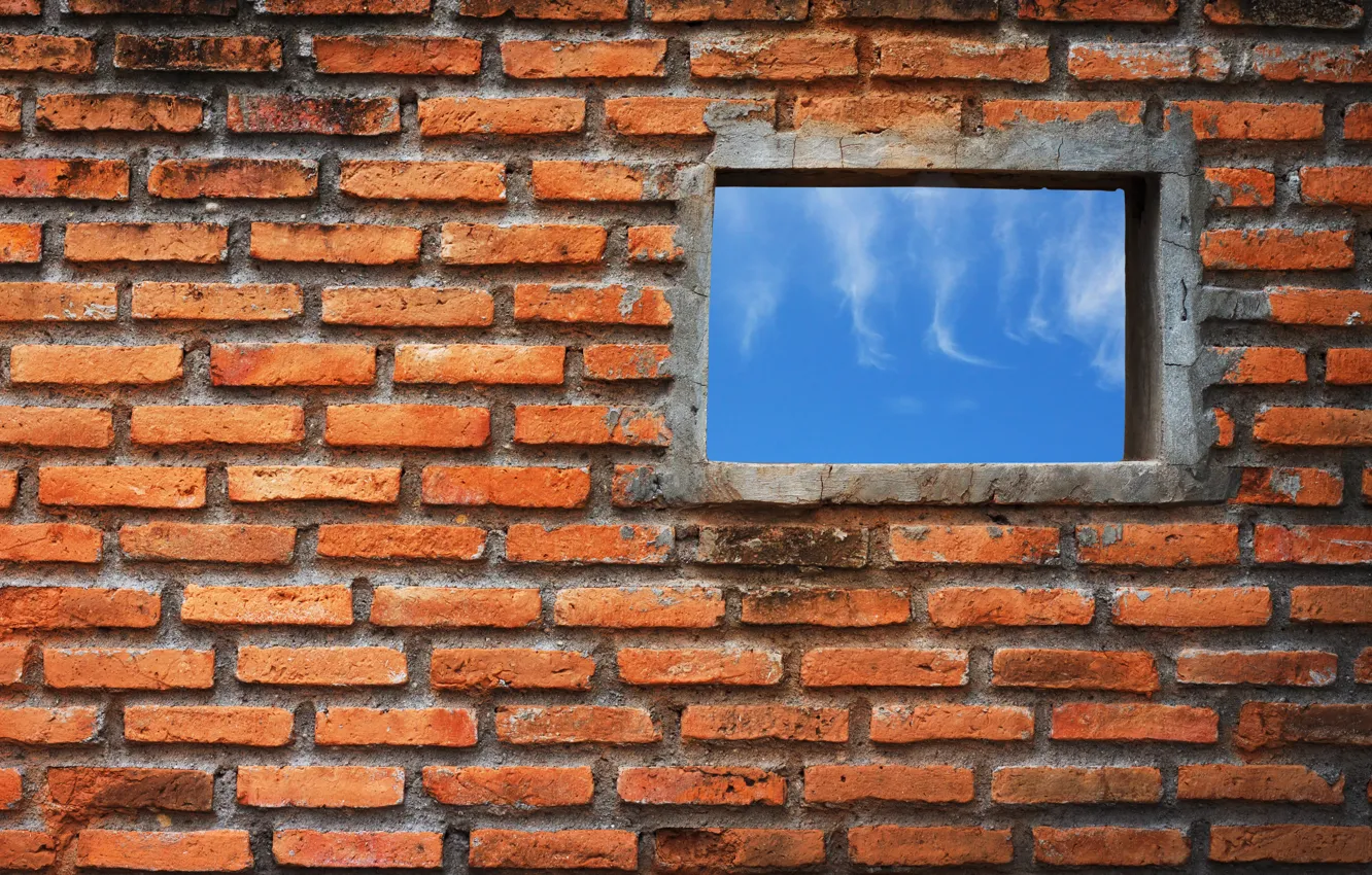 Photo wallpaper wall, bricks, window
