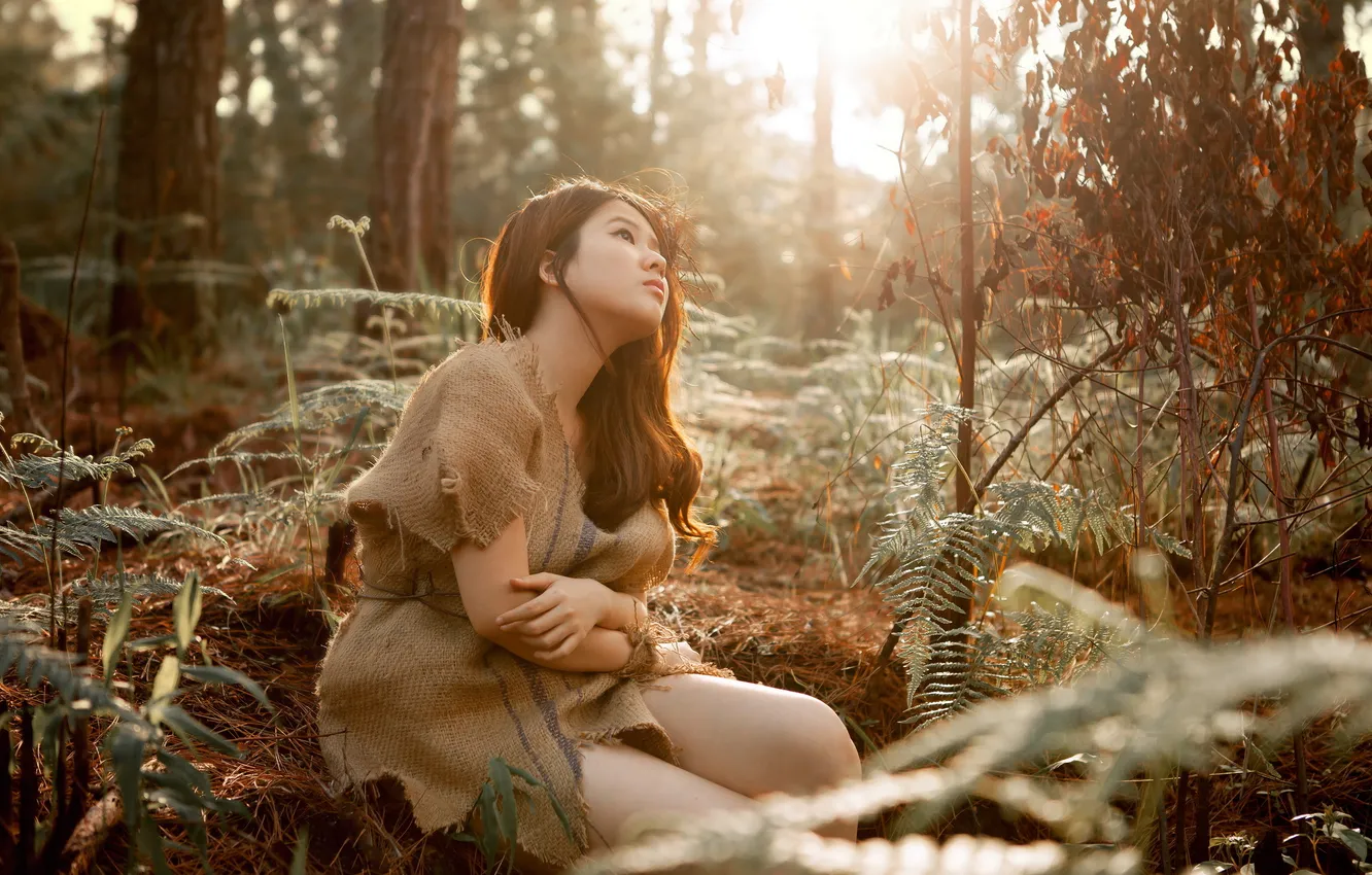 Photo wallpaper forest, girl, mood, Asian