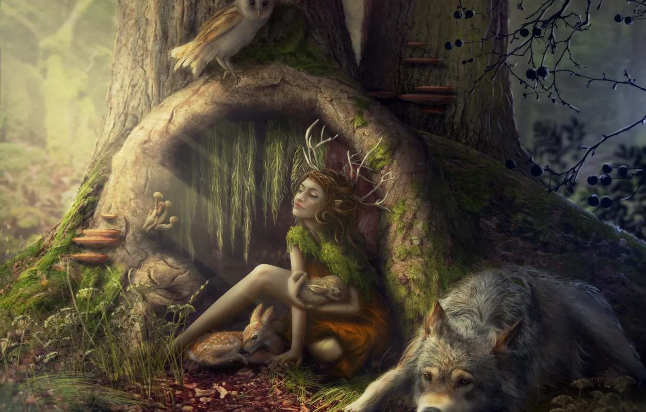 Photo wallpaper forest, girl, animal, owl, wolf, beast, fawn
