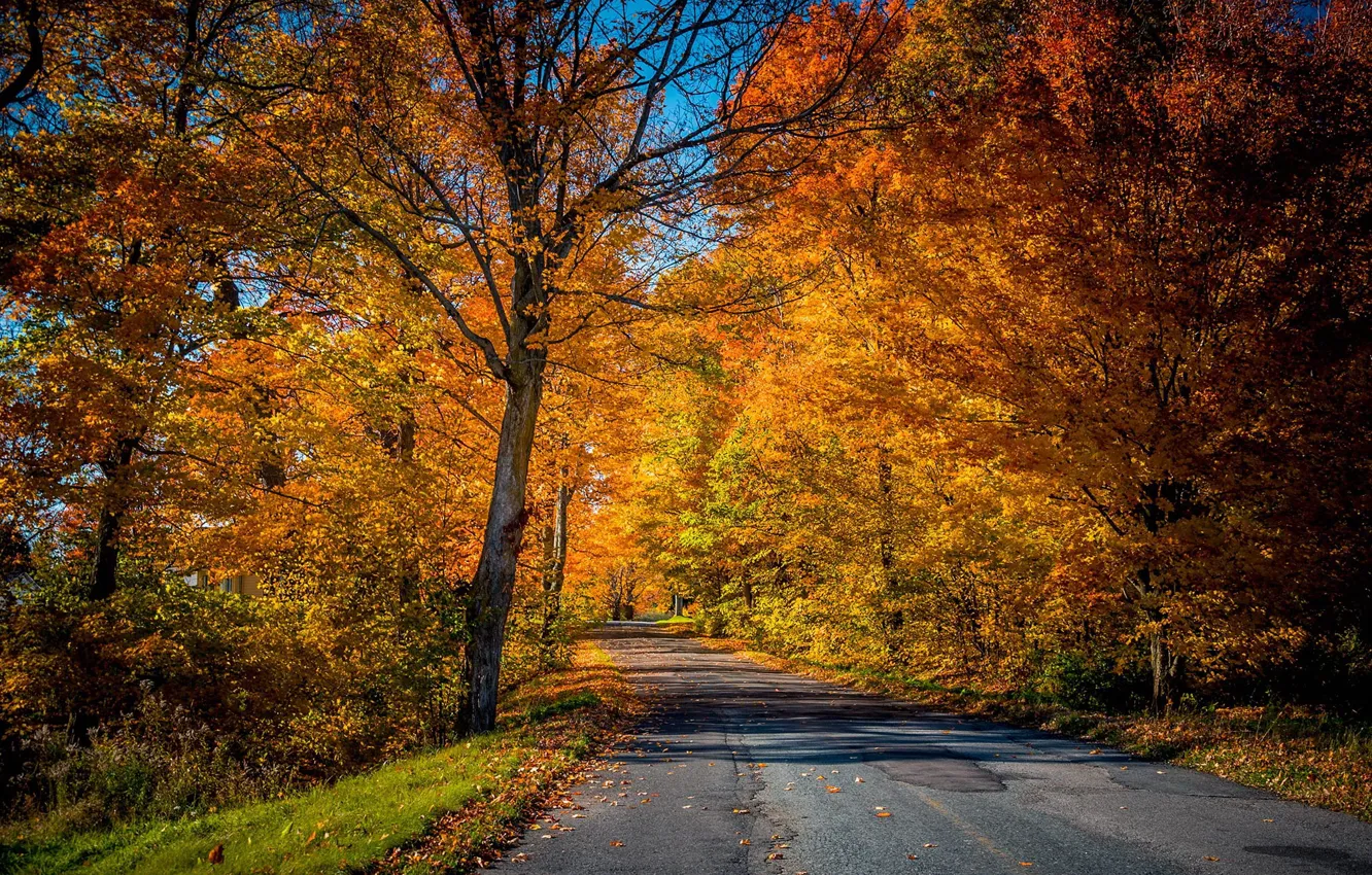 Photo wallpaper road, autumn, nature