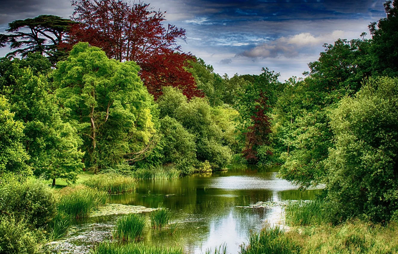 Photo wallpaper lake, Park, plant, HDR