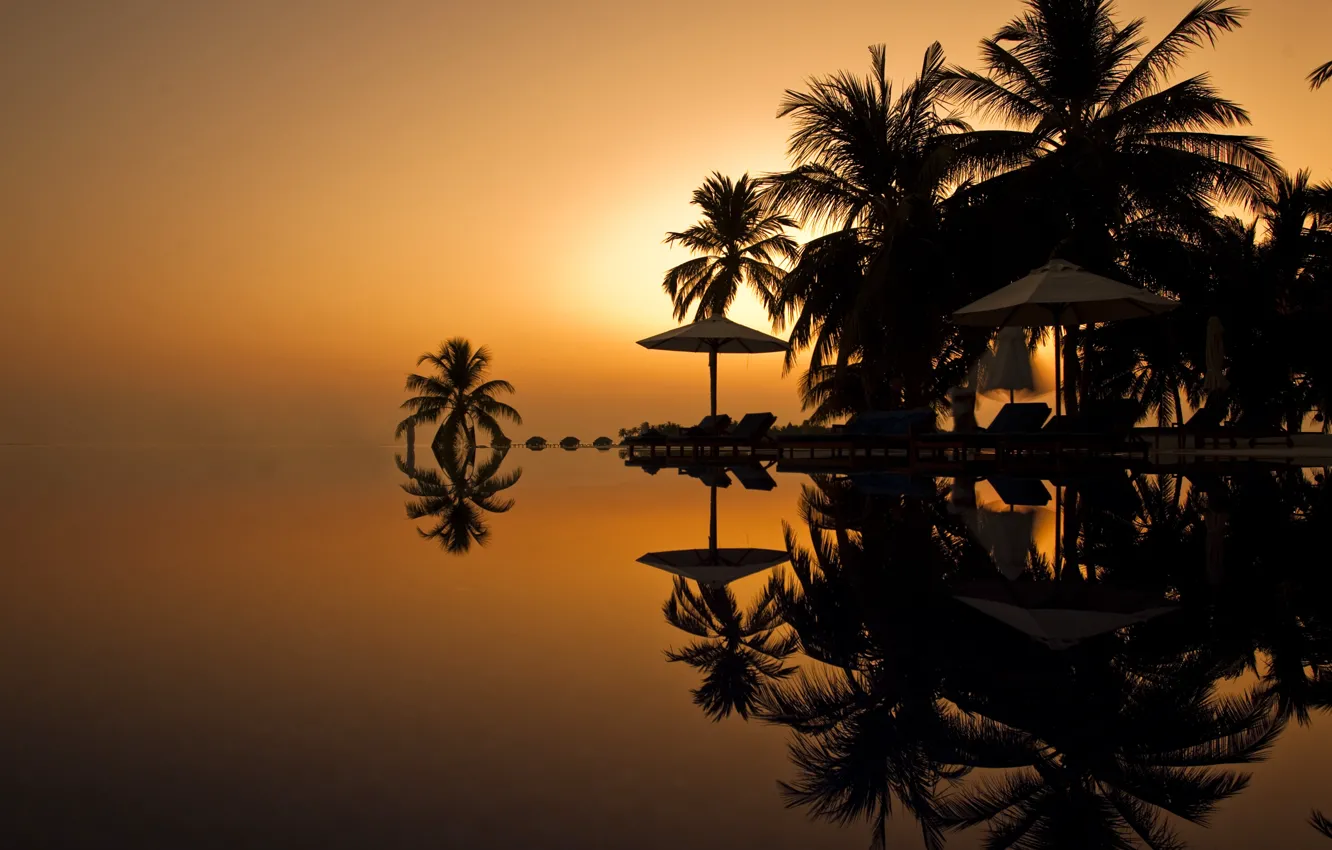 Photo wallpaper palm trees, the ocean, the evening, pool, The Maldives