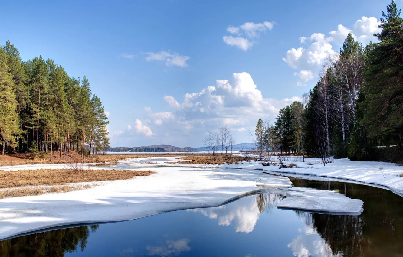 Photo wallpaper winter, forest, the sky, clouds, snow, trees, nature, river