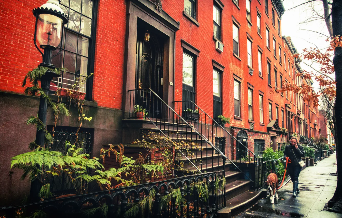 Photo wallpaper woman, dog, New York, Brooklyn, the sidewalk, lamppost, United States, Brownstones