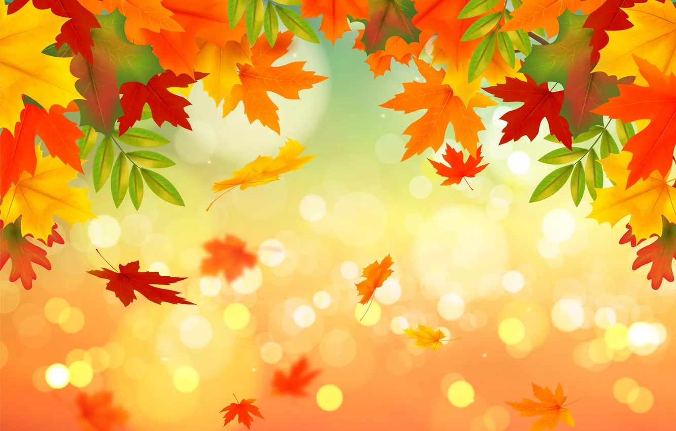 Photo wallpaper autumn, foliage, texture, orange background, falling leaves, maple leaves, bokeh, autumn leaves