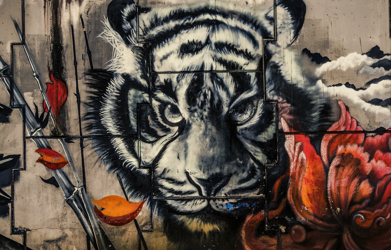 Photo wallpaper tiger, wall, paint, graffiti