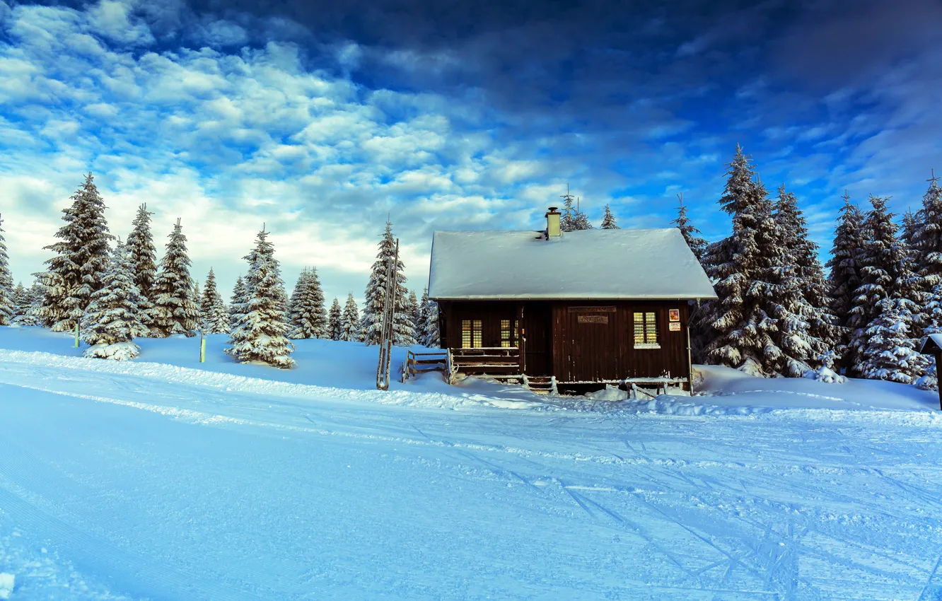 Photo wallpaper winter, forest, the sky, snow, home, ate, sky, winter